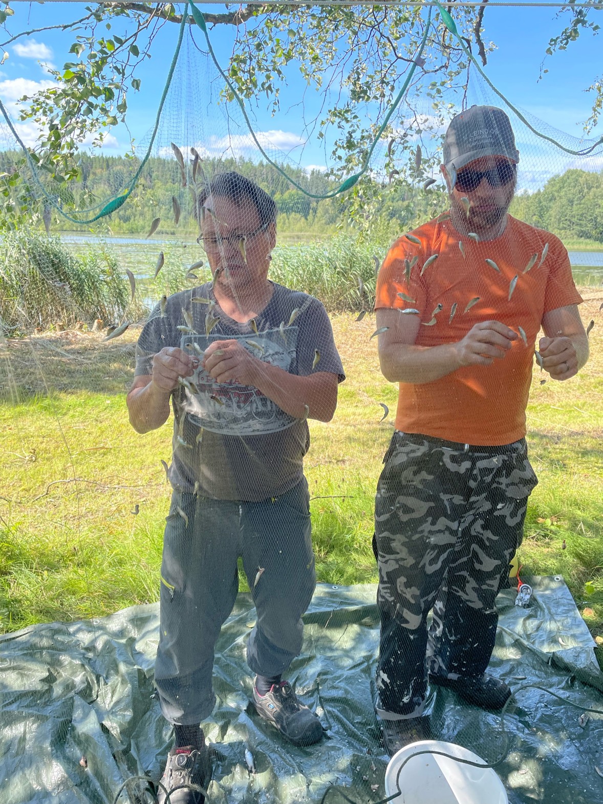 Kartoitustyötä Salmijärvellä – verkkojen käsittelyä